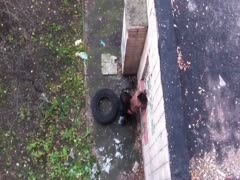 An amateur couple was seen having sex outside.